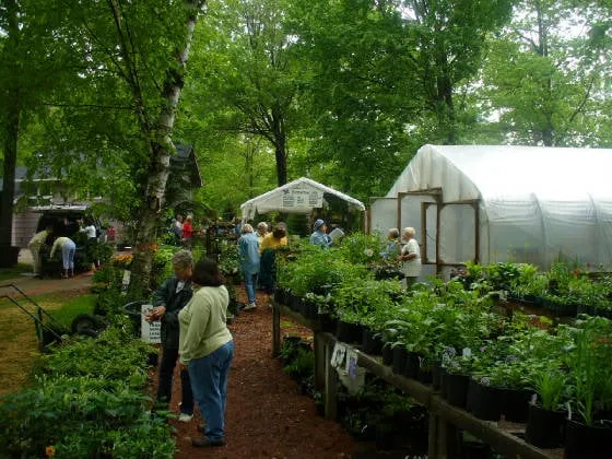 Professional outdoor landscaping for homes in Pine River, MN by Sunshine Gardens Nursery & Landscaping