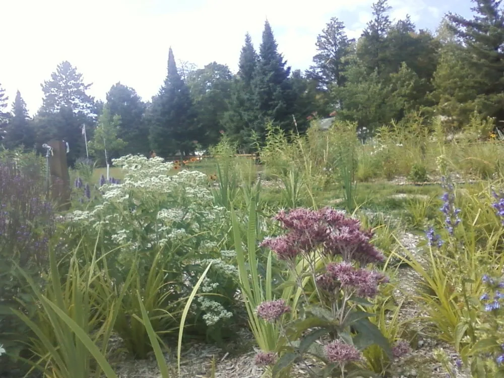 Trusted lawn care service in Pine River, MN by Sunshine Gardens Nursery & Landscaping