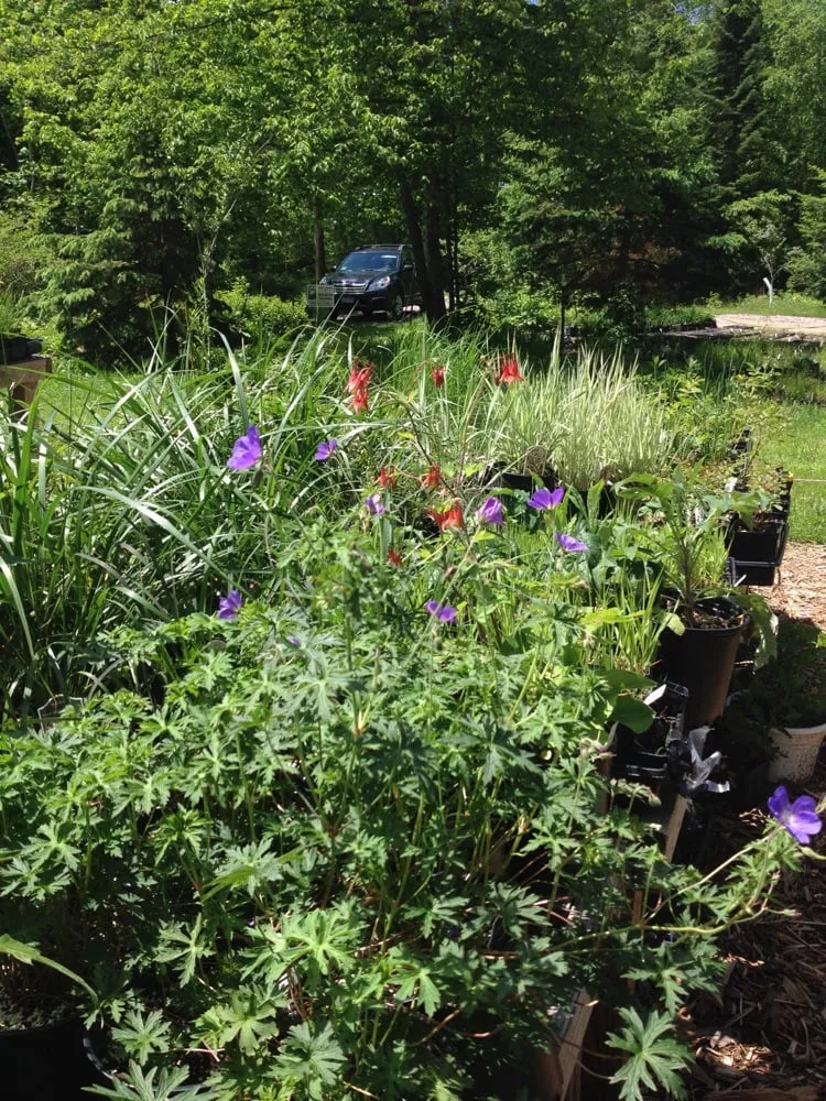 Reliable landscape design experts serving Pine River, MN - Sunshine Gardens Nursery & Landscaping