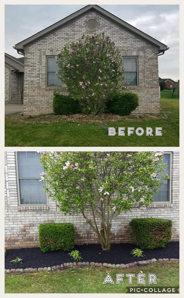 Expert landscape installation for beautiful yards across Clarksville, IN - Sunshine Grass Company