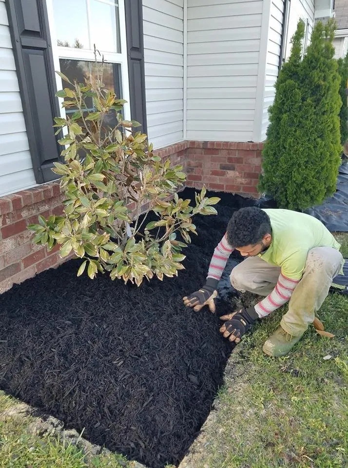 Reliable lawn mowing service for homes across Clarksville, IN - Sunshine Grass Company