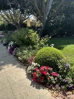 Top-rated yard maintenance in Los Angeles, CA - Sunshine Greenery