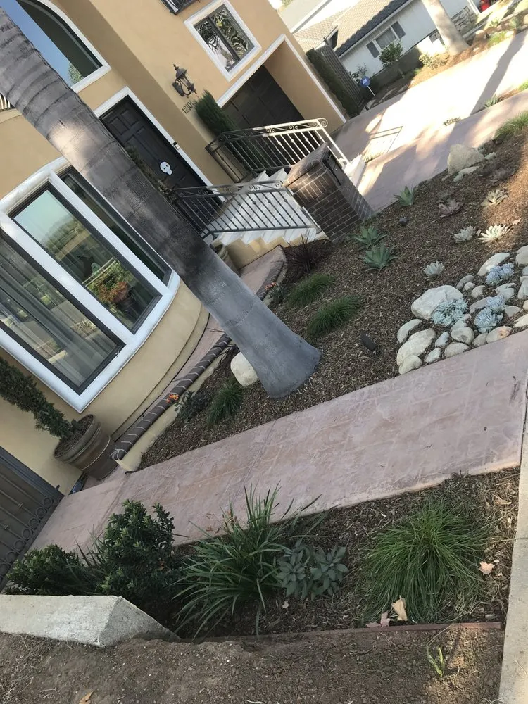 Custom outdoor landscaping in Los Angeles, CA by Sunshine Greenery