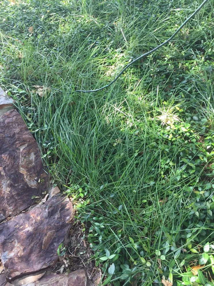 Custom outdoor landscaping for outdoor upgrades across Lewisville, TX - Sunshine Home Hero