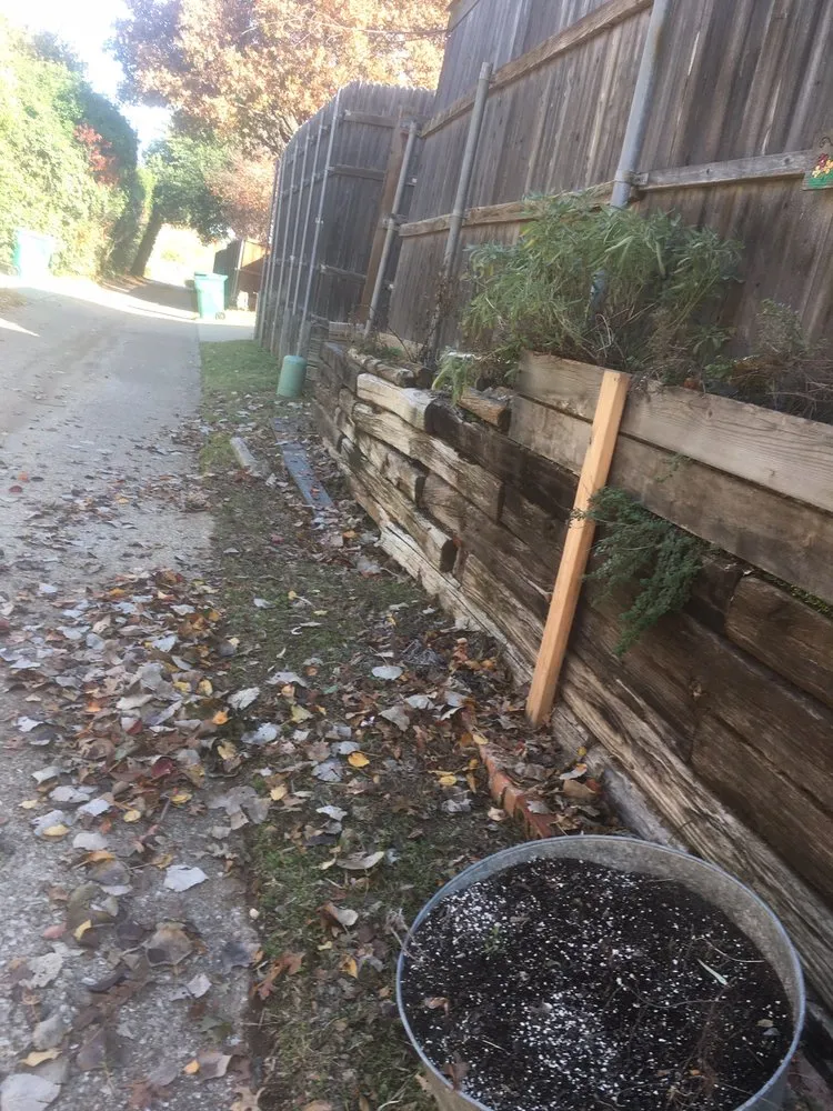 Custom lawn care service in Lewisville, TX by Sunshine Home Hero