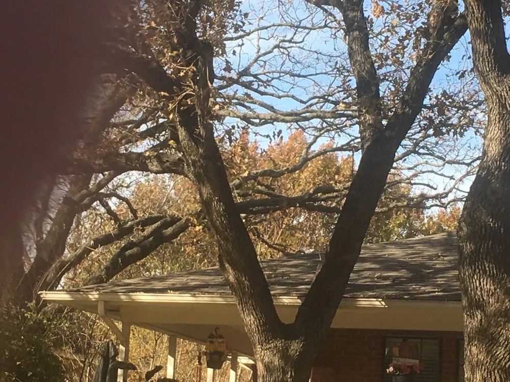 Custom yard cleanup service in Lewisville, TX - Sunshine Home Hero