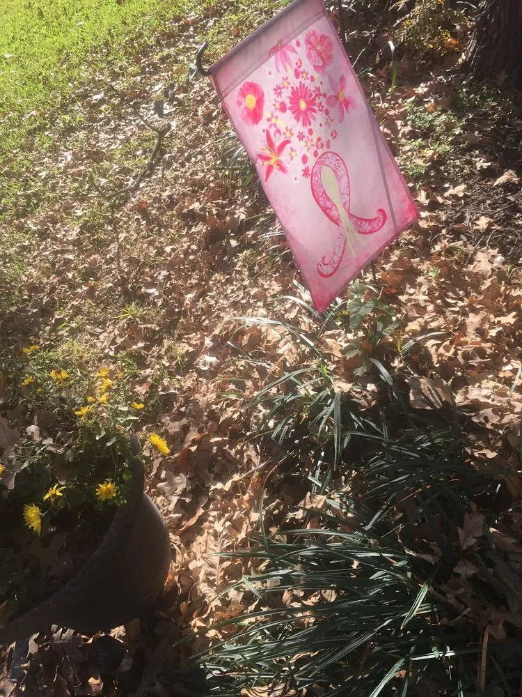 Trusted yard maintenance with custom design in Lewisville, TX by Sunshine Home Hero