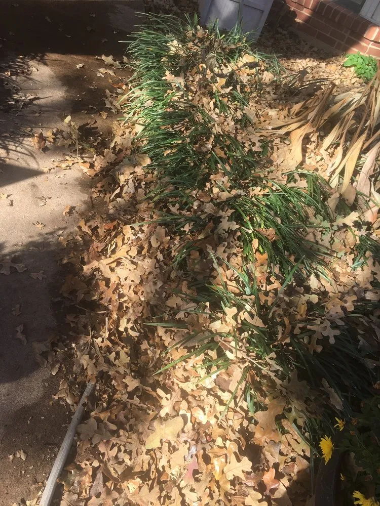 Expert lawn care service with custom design across Lewisville, TX - Sunshine Home Hero