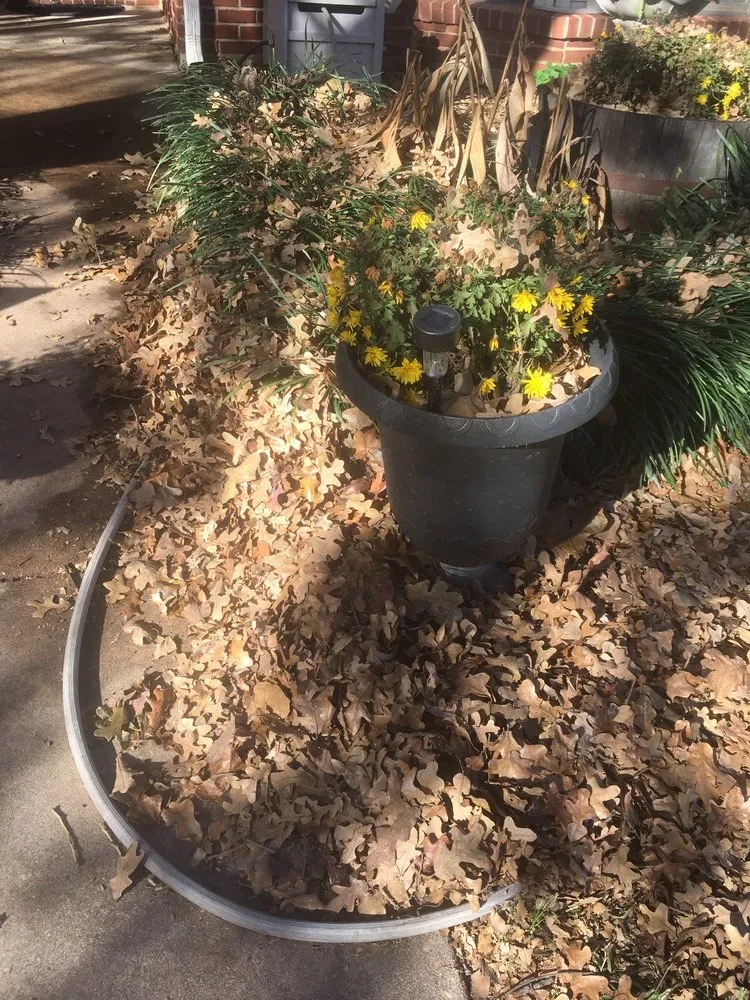 Top-rated outdoor landscaping in Lewisville, TX - Sunshine Home Hero