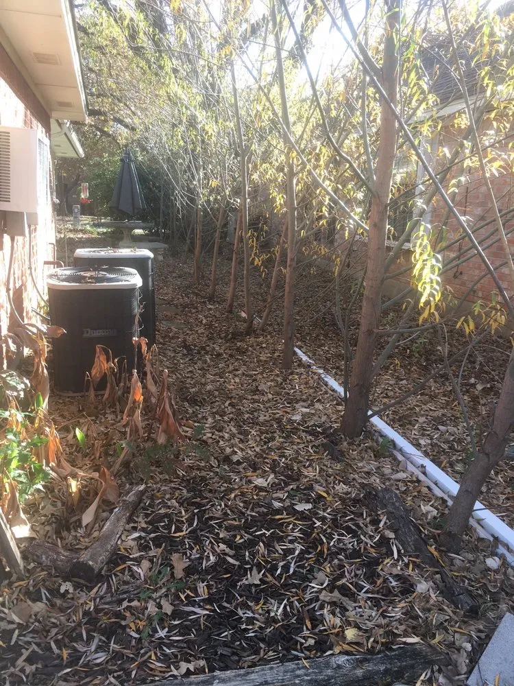 Custom landscaping services in Lewisville, TX by Sunshine Home Hero