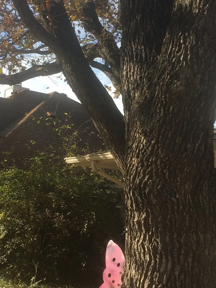 Local yard maintenance for residential properties in Lewisville, TX by Sunshine Home Hero