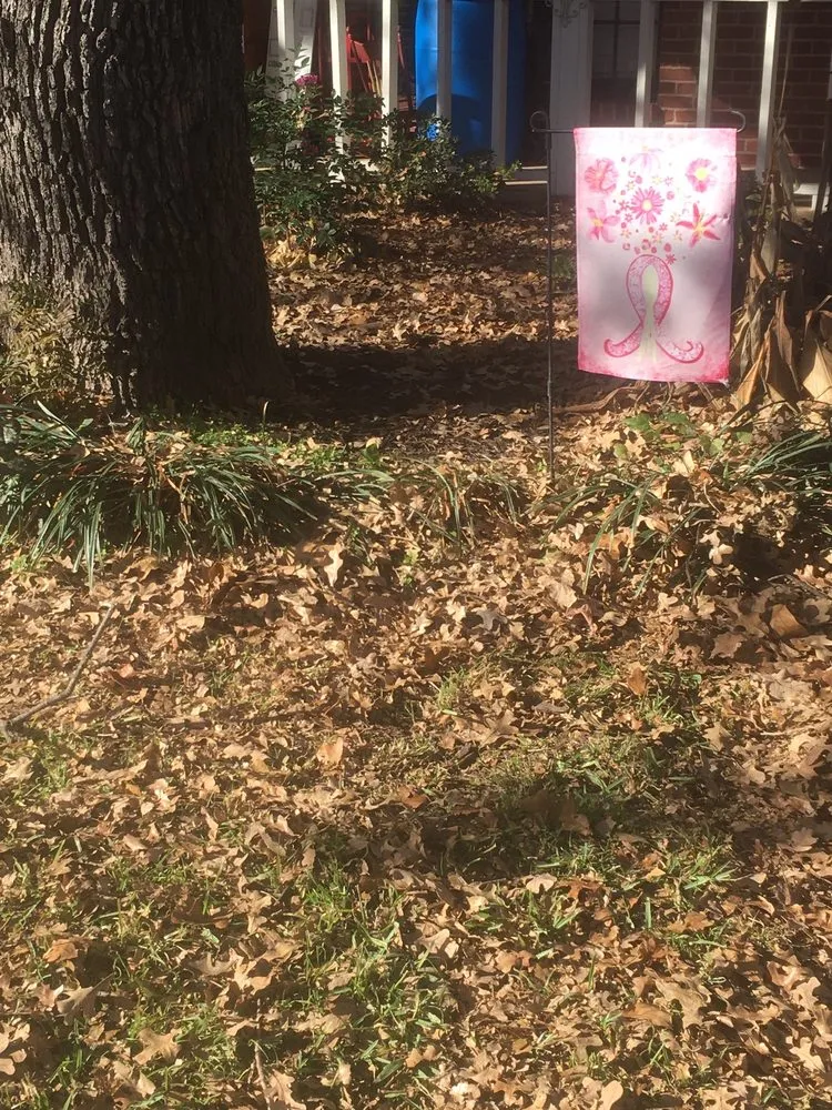 Expert outdoor landscaping for homes across Lewisville, TX - Sunshine Home Hero