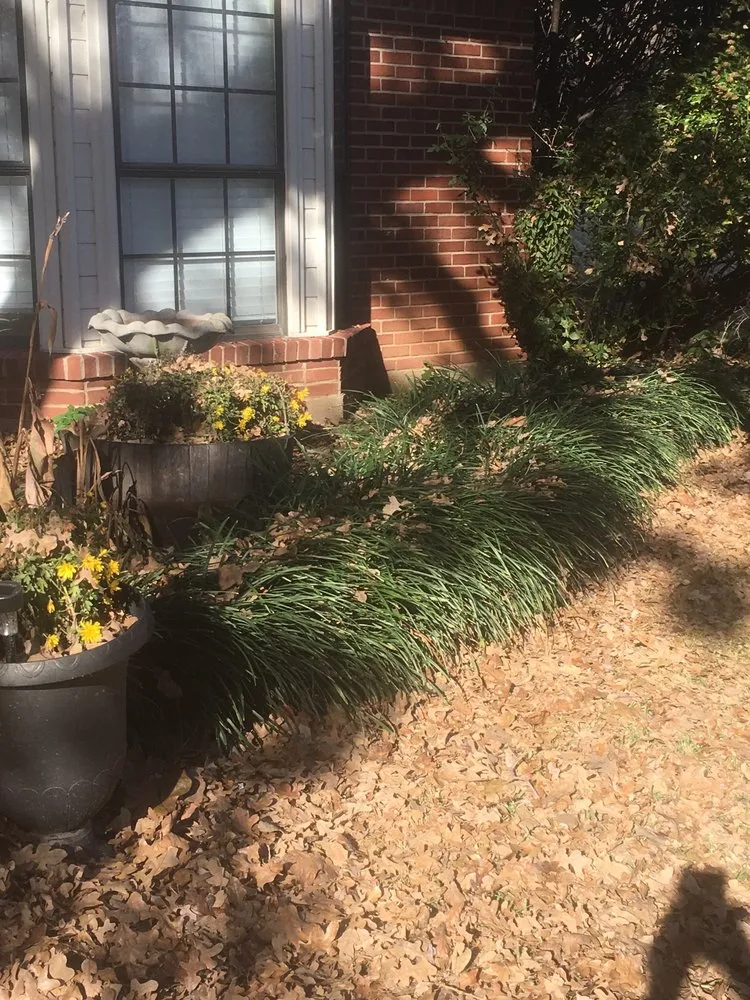 Top-rated landscape design experts serving Lewisville, TX - Sunshine Home Hero