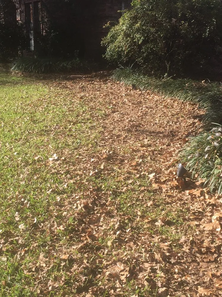 Trusted yard maintenance experts serving Lewisville, TX - Sunshine Home Hero