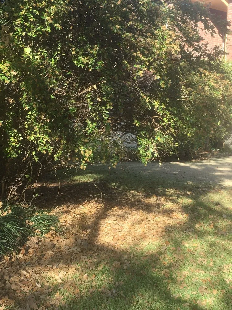 Affordable lawn care service near you in Lewisville, TX by Sunshine Home Hero