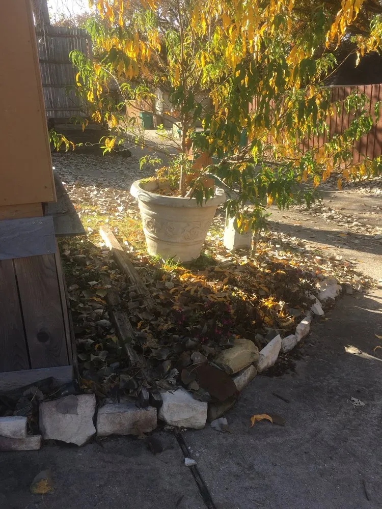 Reliable lawn care service for residential properties in Lewisville, TX by Sunshine Home Hero