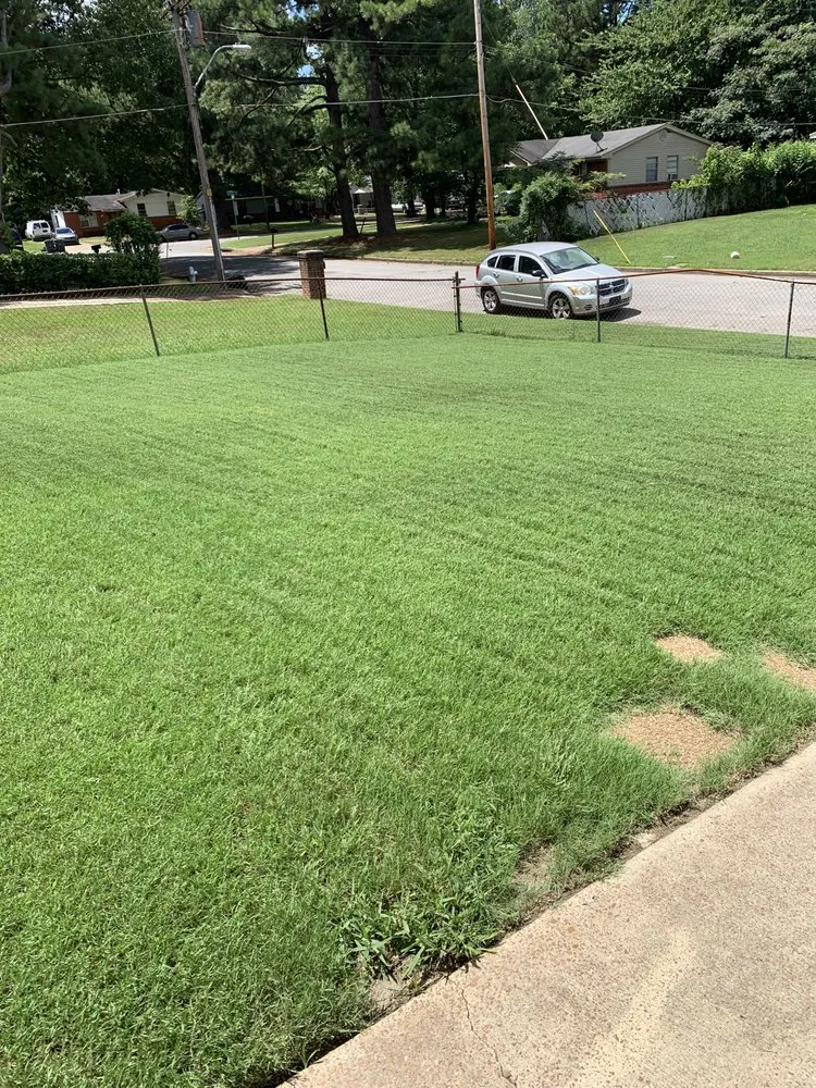 Custom yard cleanup service with custom design in Jackson, TN by Sunshine