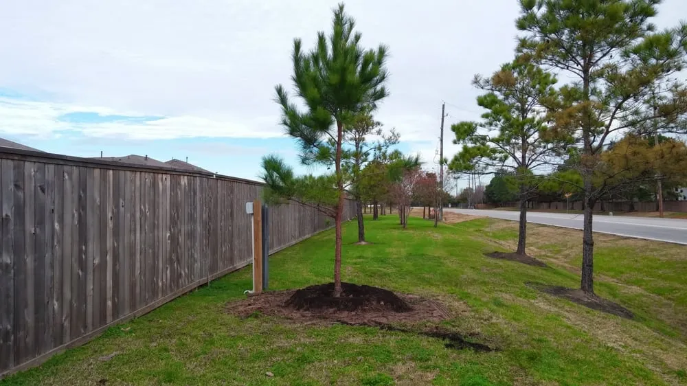 Professional landscape design for outdoor upgrades in Houston, TX by Sunshine Landscape & Irrigation