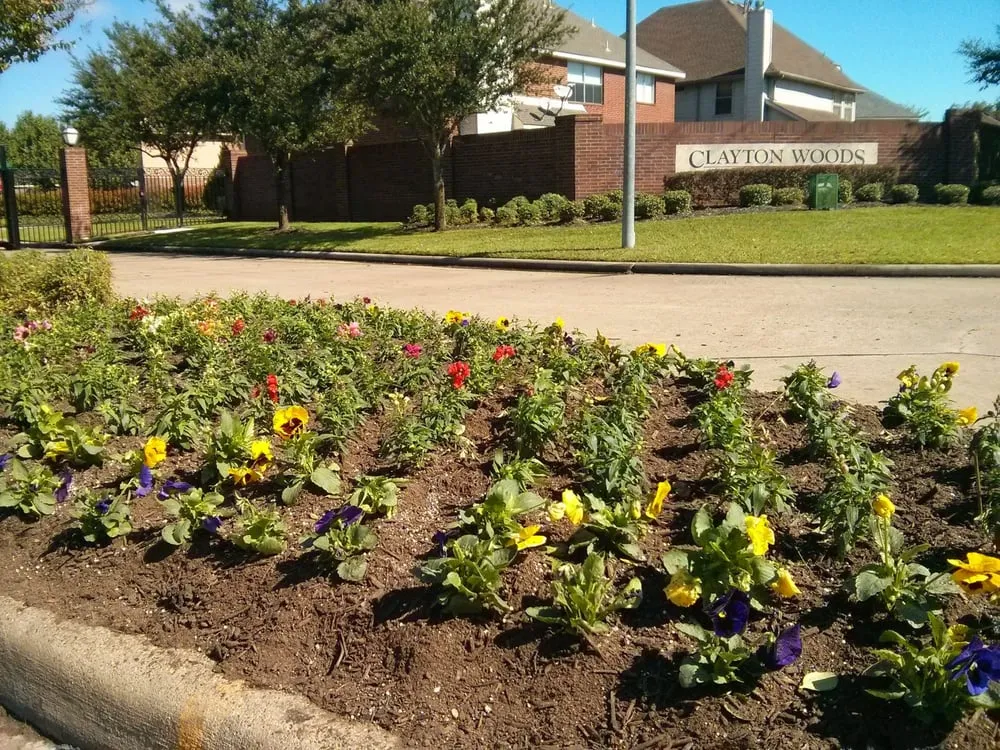 Trusted residential landscaping experts serving Houston, TX - Sunshine Landscape & Irrigation