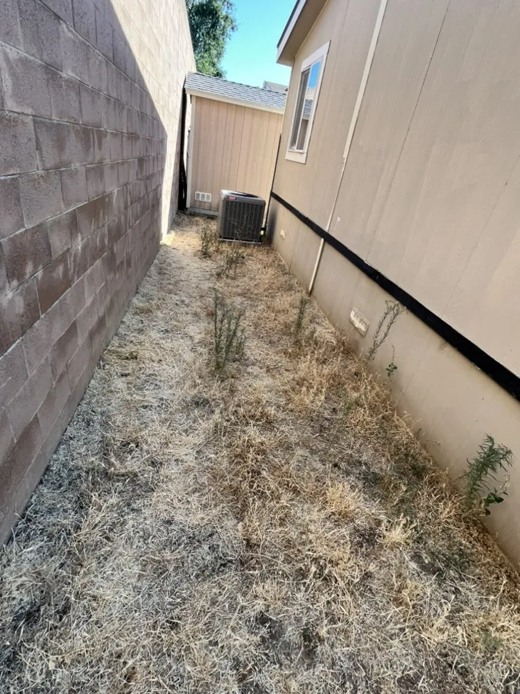 Top-rated landscaping services in Sacramento, CA - Sunshine Landscape And Construction Design