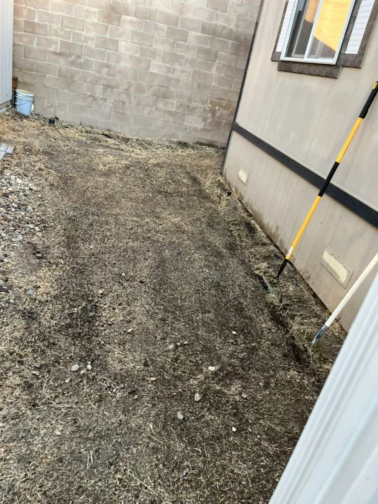 Top-rated landscape design for outdoor upgrades in Sacramento, CA by Sunshine Landscape And Construction Design