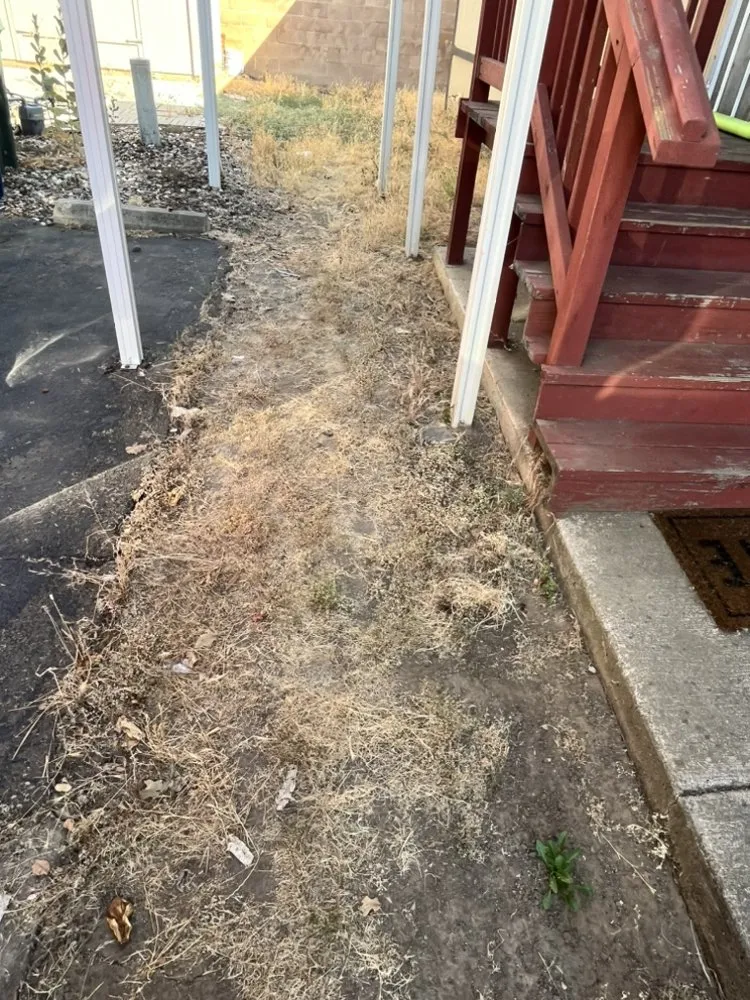 Expert outdoor landscaping in Sacramento, CA - Sunshine Landscape And Construction Design