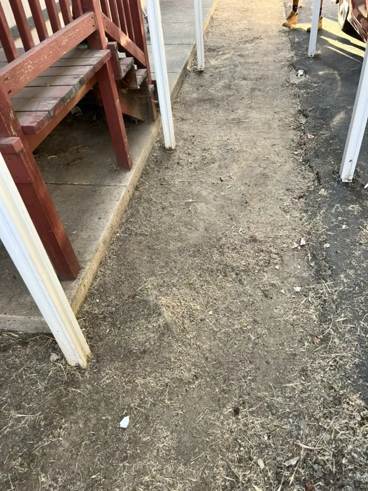 Local landscape design with custom design in Sacramento, CA by Sunshine Landscape And Construction Design