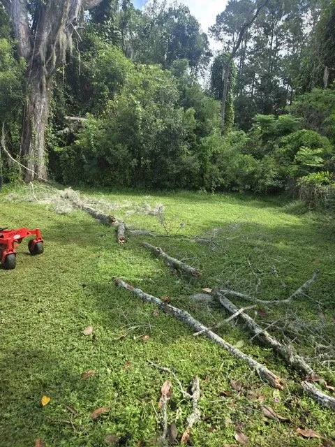 Expert yard cleanup service in Jacksonville, FL - Sunshine Landscape Design