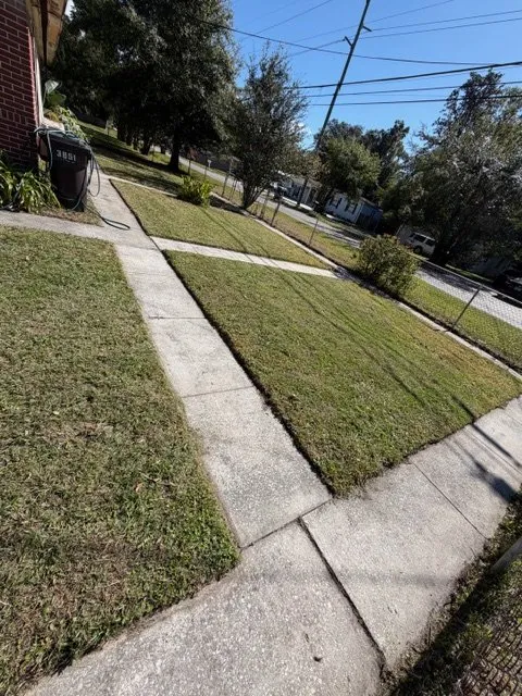 Professional outdoor landscaping in Jacksonville, FL - Sunshine Landscape Design