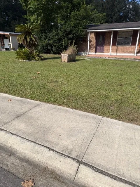 Affordable yard cleanup service in Jacksonville, FL - Sunshine Landscape Design