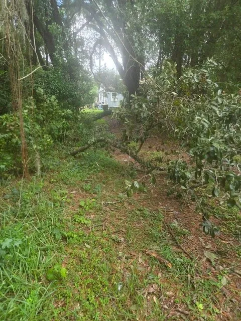 Custom yard maintenance near you across Jacksonville, FL - Sunshine Landscape Design