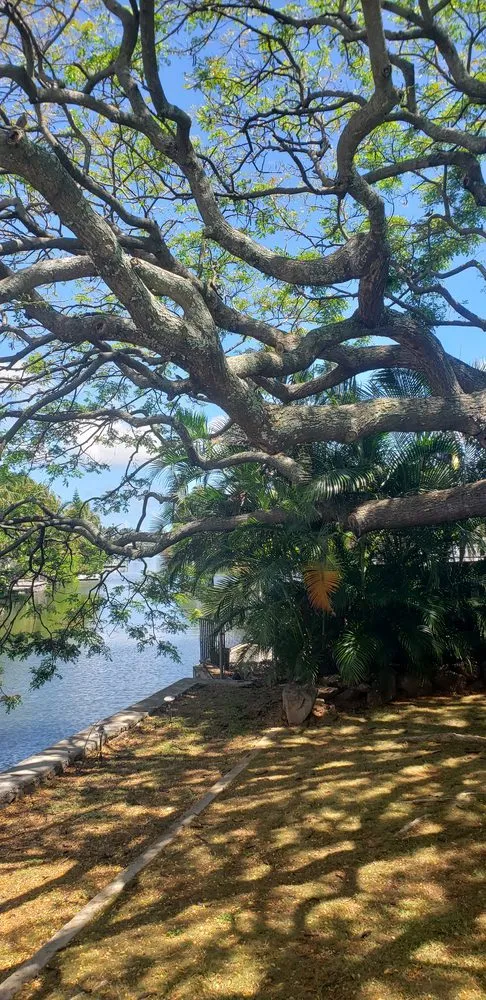 Local landscape installation in Kaneohe, HI by Sunshine Landscape