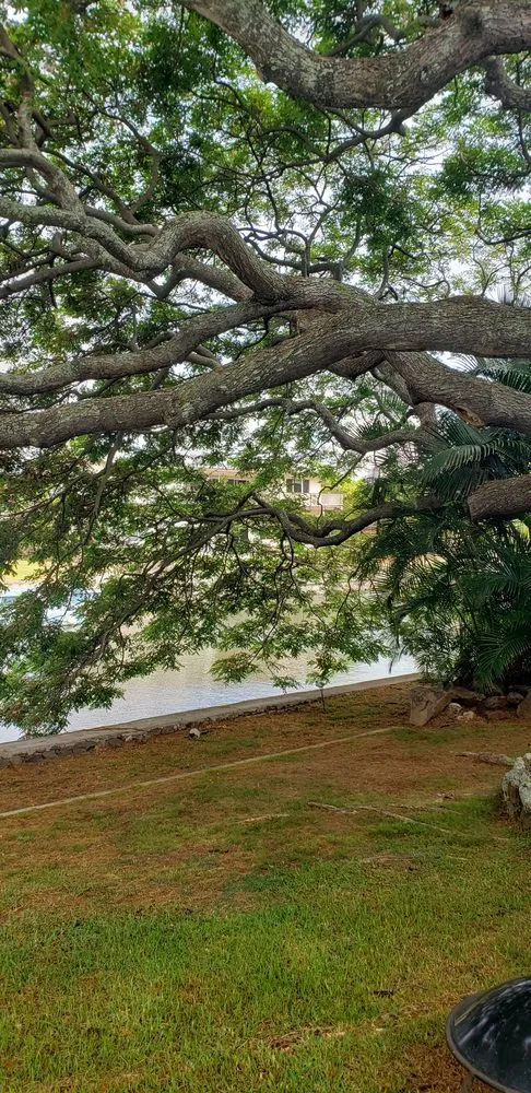Top-rated landscape installation for outdoor upgrades in Kaneohe, HI by Sunshine Landscape