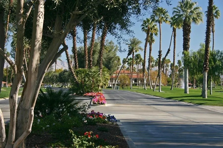 Custom yard maintenance in Thousand Palms, CA - Sunshine Landscape