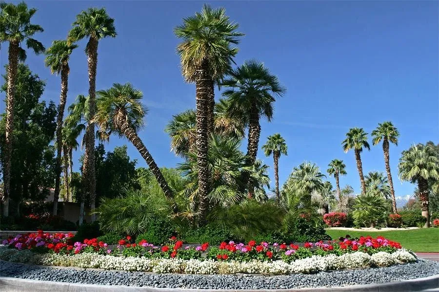 Expert outdoor landscaping for outdoor upgrades in Thousand Palms, CA by Sunshine Landscape