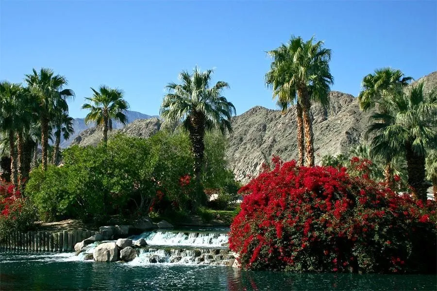 Expert lawn care service in Thousand Palms, CA - Sunshine Landscape