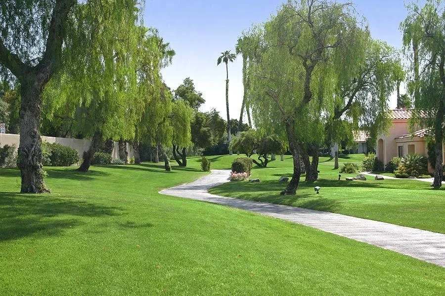 Local landscape installation in Thousand Palms, CA by Sunshine Landscape