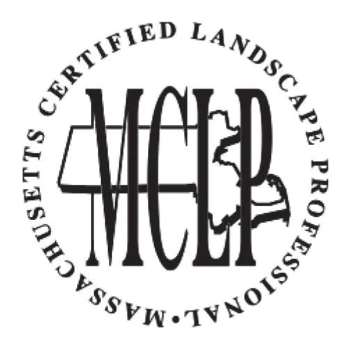 Professional yard cleanup service in Cherry Valley, MA by Sunshine Landscaping