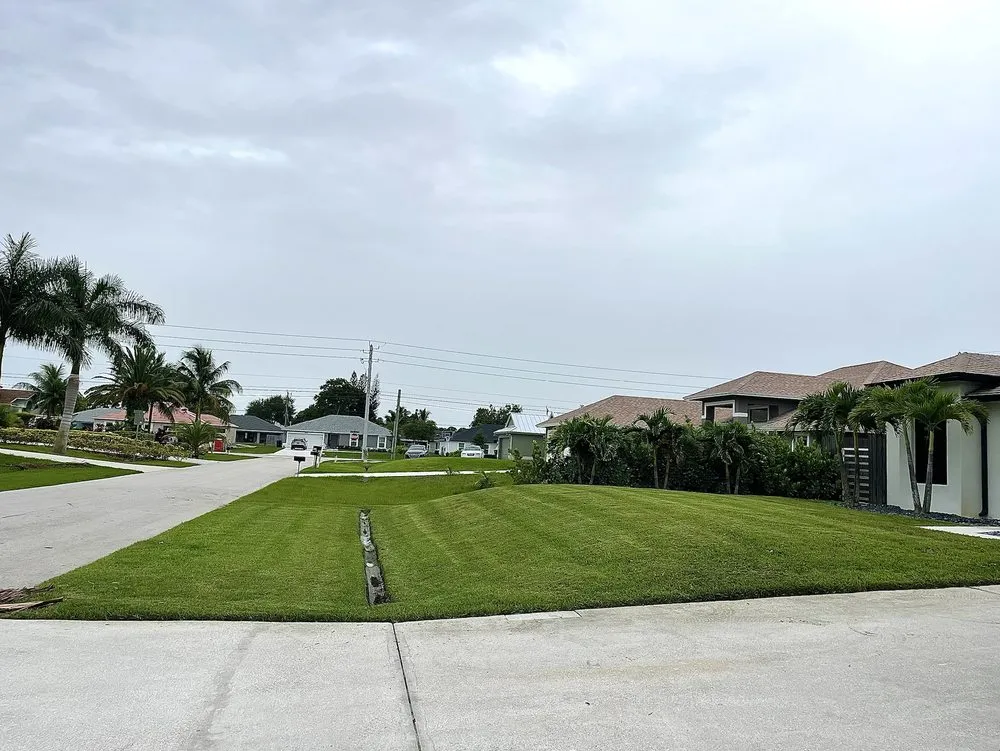 Expert yard cleanup service in Fort Pierce, FL - Sunshine Landscaping