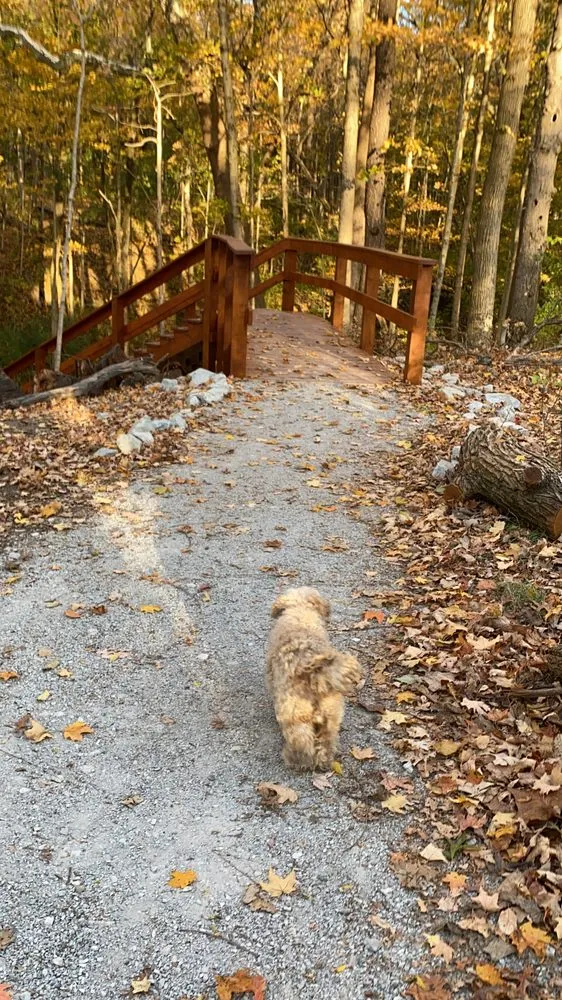 Local landscape design for outdoor upgrades in Indianapolis, IN by Sunshine Landscaping