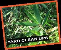 Top-rated garden landscaping for beautiful yards across Las Vegas, NV - Sunshine Landscaping