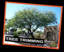 Sunshine Landscaping Logo