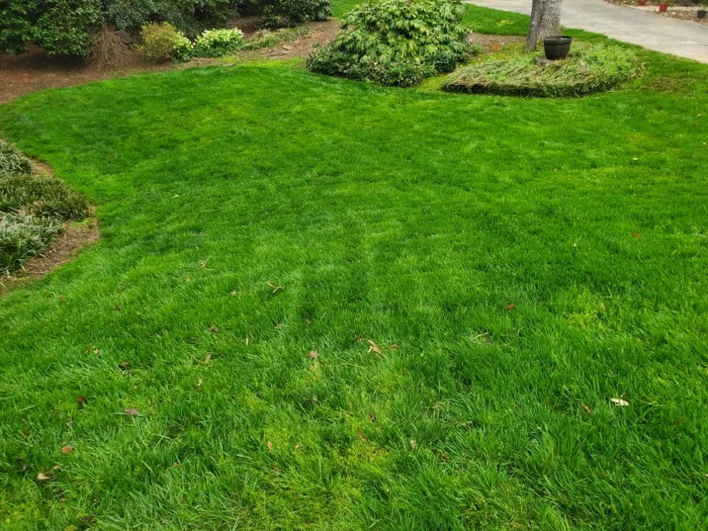 Affordable landscape installation for year-round maintenance across Lilburn, GA - Sunshine Landscaping