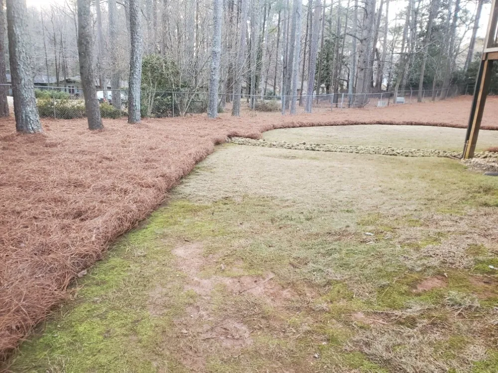 Expert residential landscaping for outdoor upgrades across Lilburn, GA - Sunshine Landscaping