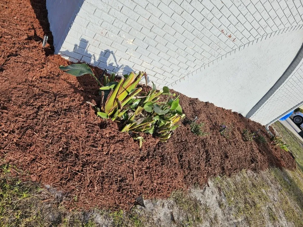 Top-rated landscaping services with custom design across Frostproof, FL - sunshine Landscaping Management