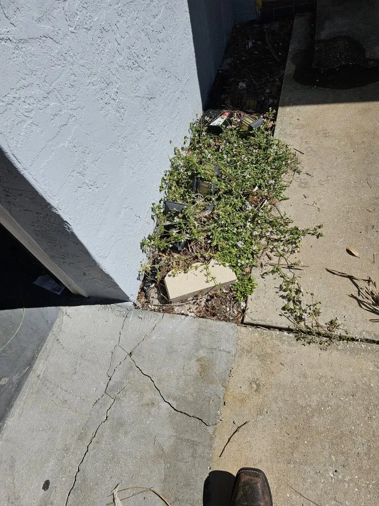 Affordable lawn mowing service for homes in Frostproof, FL by sunshine Landscaping Management