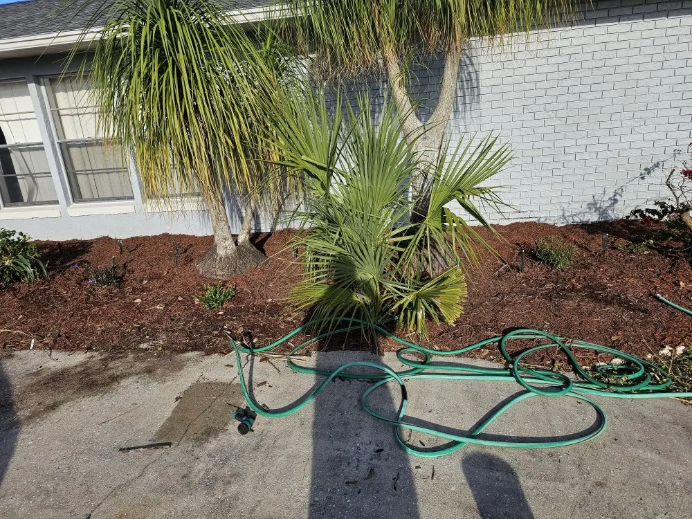 Local lawn mowing service in Frostproof, FL by sunshine Landscaping Management