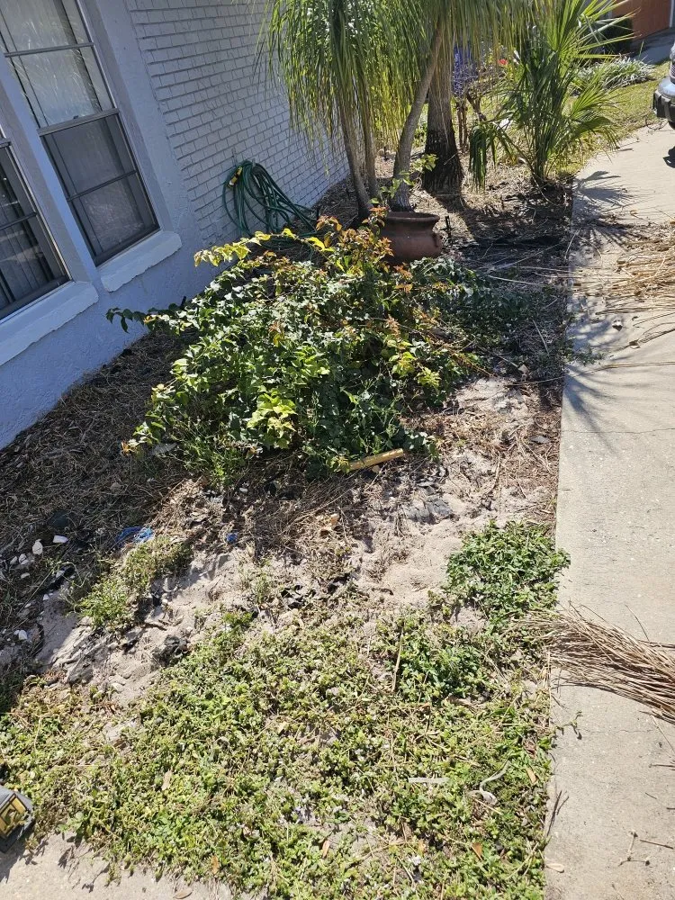 Top-rated garden landscaping in Frostproof, FL - sunshine Landscaping Management