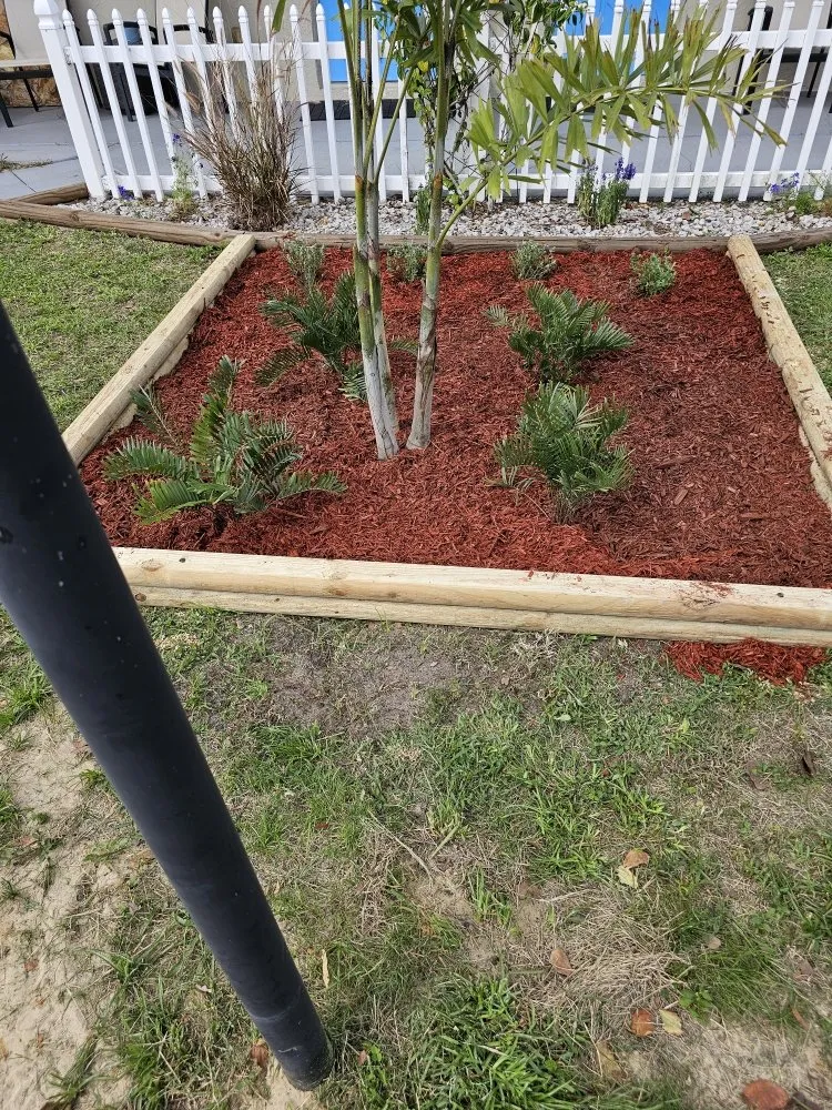 Reliable lawn care service for year-round maintenance in Frostproof, FL by sunshine Landscaping Management