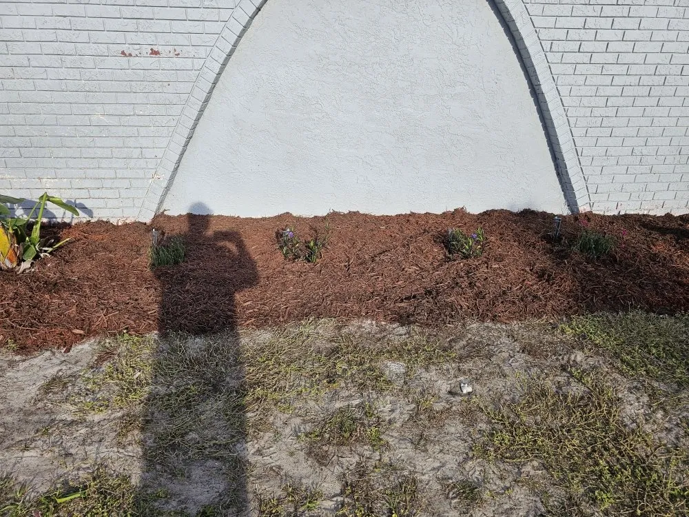 Affordable landscaping services in Frostproof, FL - sunshine Landscaping Management